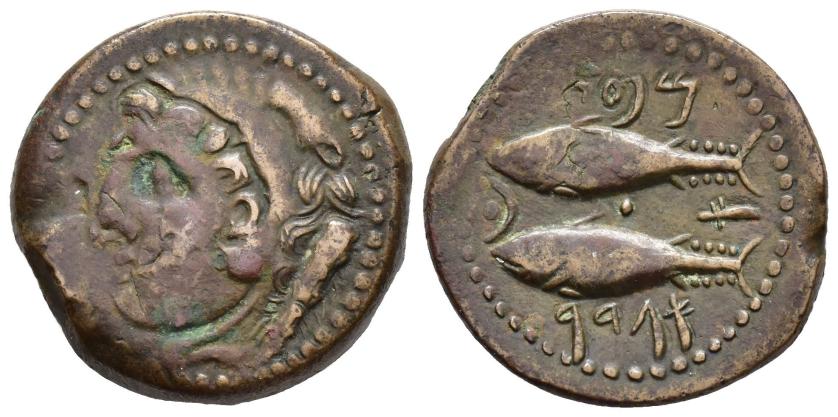 45   -  HISPANIA ANTIGUA